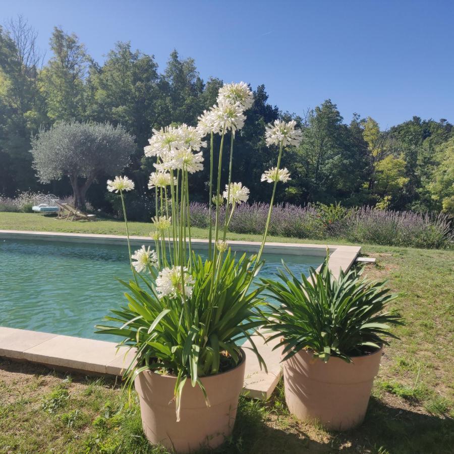 Chambre Double En Pleine Nature "La Clairiere De L'Ange" Peyrins Exterior foto
